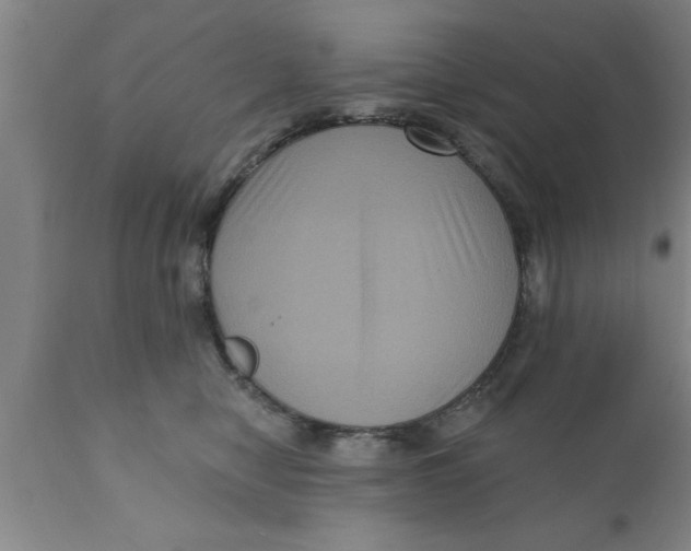 X0000111160470200907211231