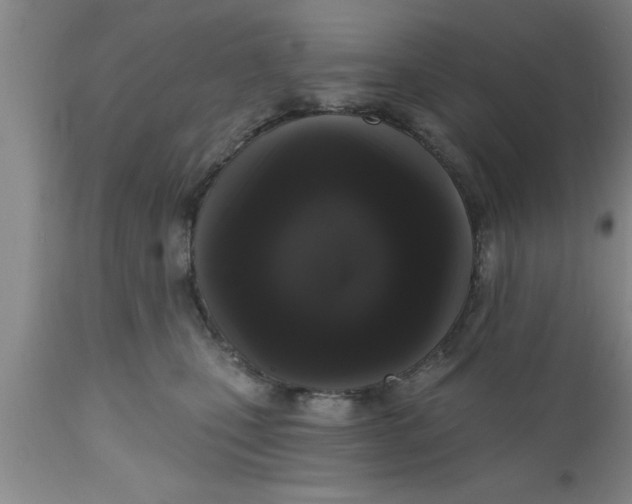 X0000111160471200907211231