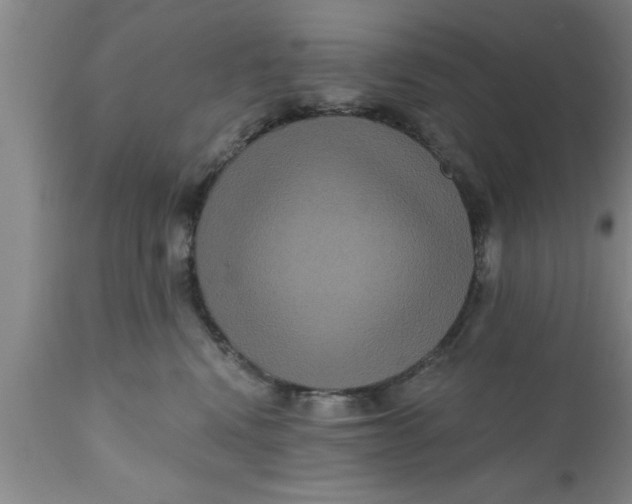 X0000111160472200907211231