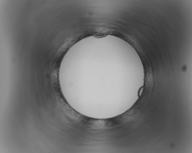 X0000111160473200907211231