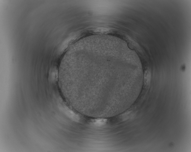 X0000111160474200907211231