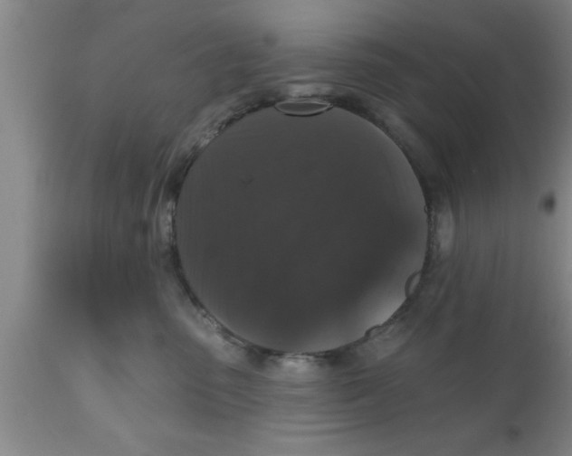 X0000111160475200907211231