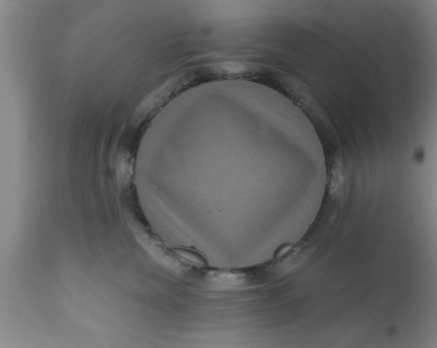 X0000111160476200907211231