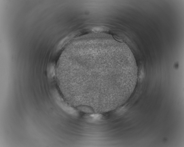 X0000111160478200907211231