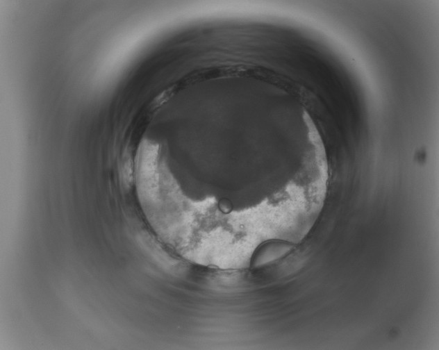 X0000111160479200907211231