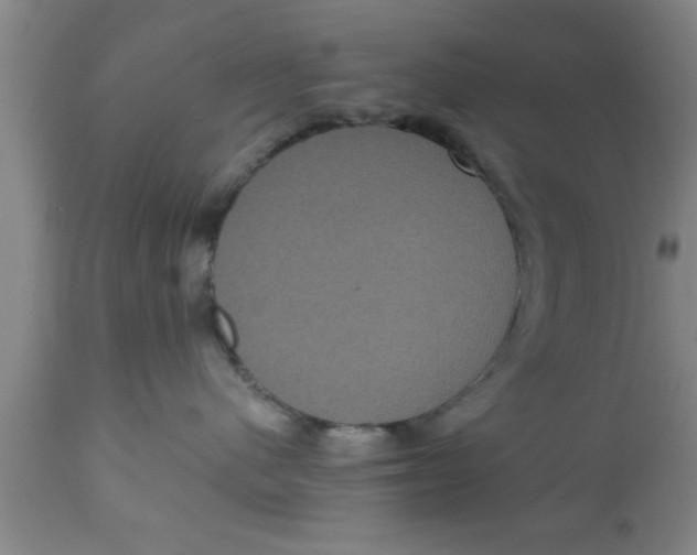 X0000111160480200907211231