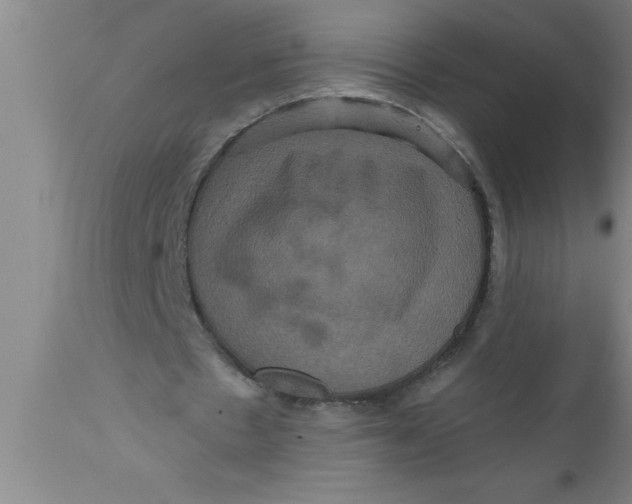 X0000111160481200907211230