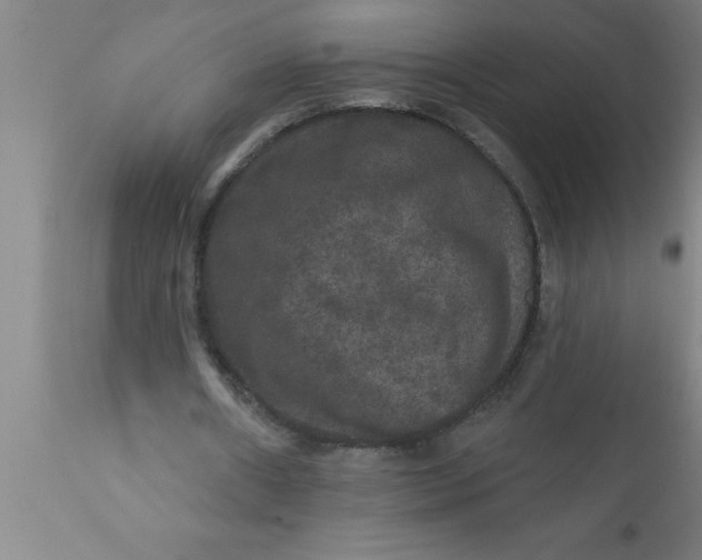 X0000111160482200907211230