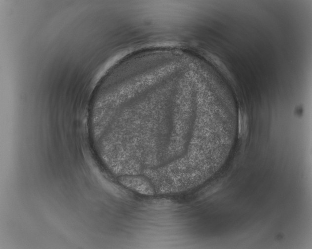 X0000111160483200907211230