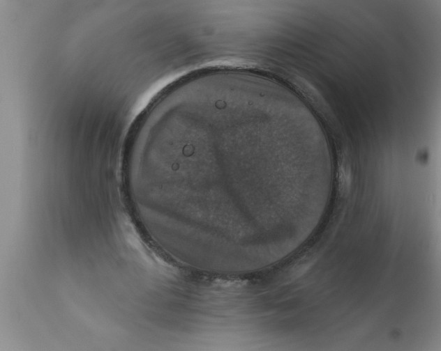 X0000111160484200907211230