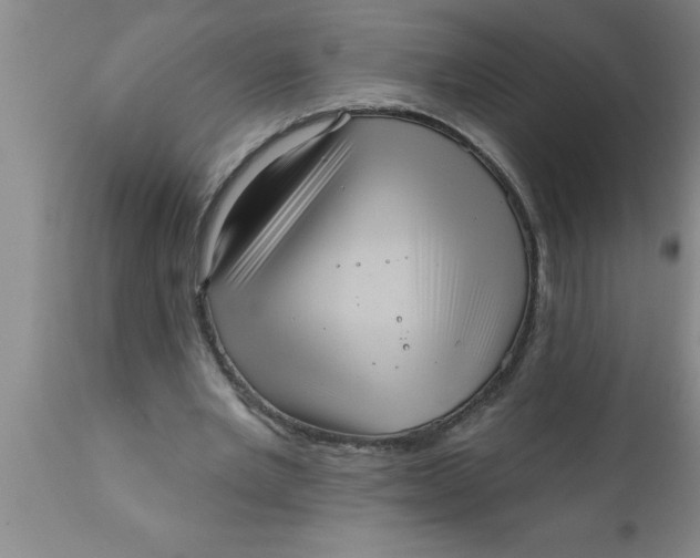 X0000111160485200907211230