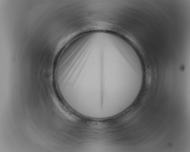 X0000111160486200907211230