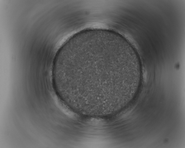 X0000111160487200907211230