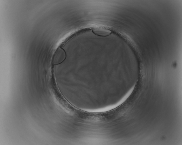 X0000111160488200907211230