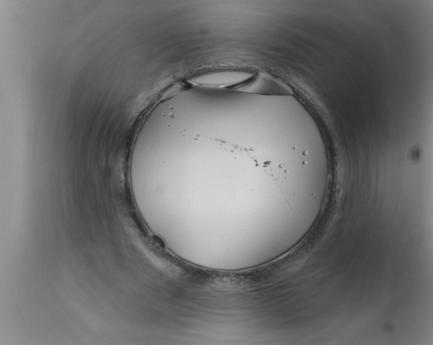 X0000111160489200907211230