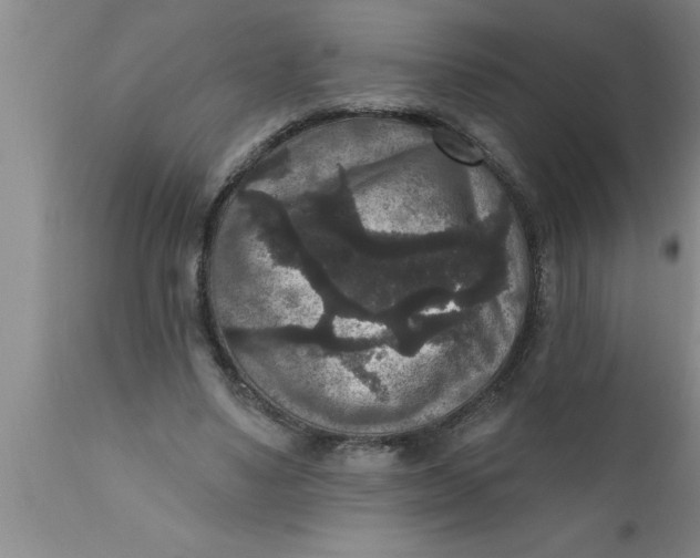 X0000111160491200907211230