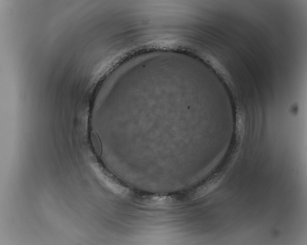 X0000111160493200907211230