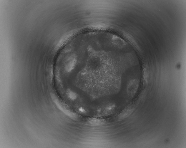 X0000111160494200907211230