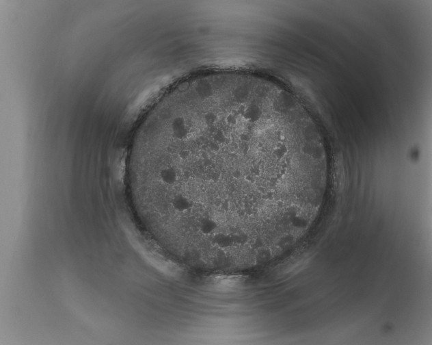 X0000111160495200907211230