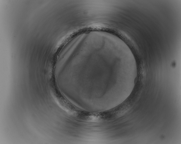 X0000111160496200907211230