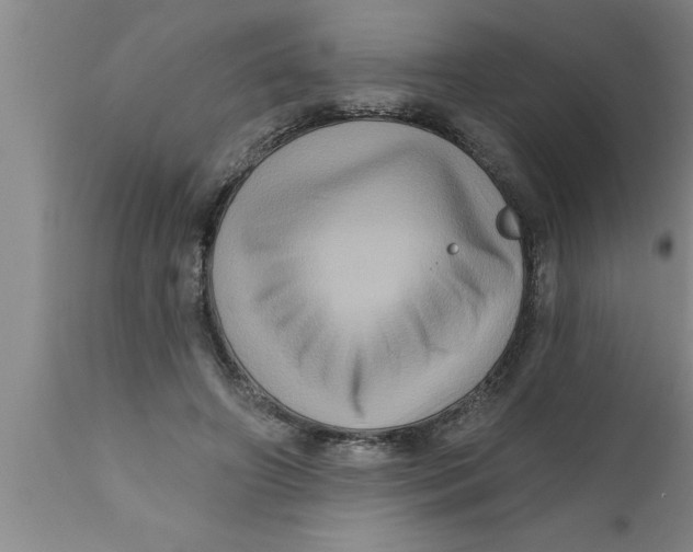 X0000111160498200907211230