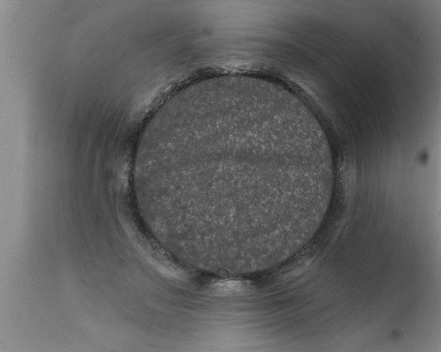 X0000111160499200907211230