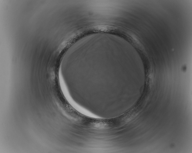 X0000111160500200907211230