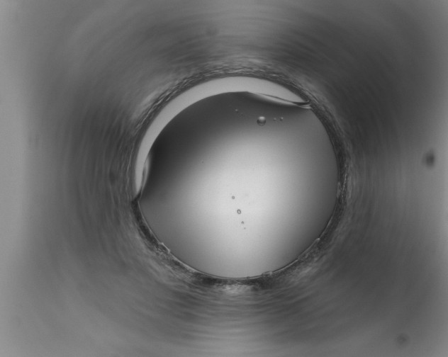 X0000111160501200907211230