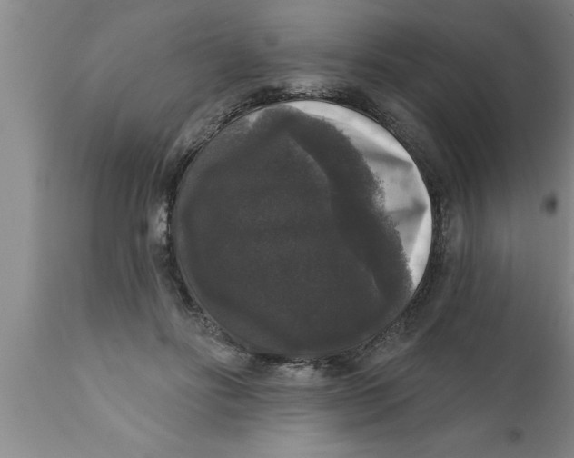 X0000111160502200907211230