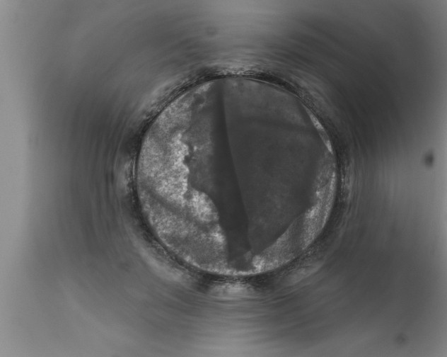 X0000111160503200907211230