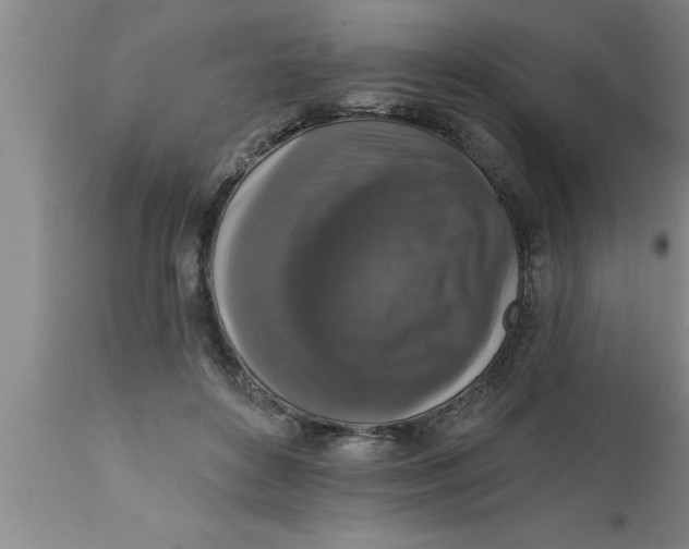 X0000111160504200907211230