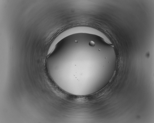 X0000111160505200907211230