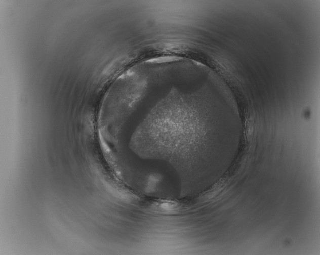 X0000111160506200907211230