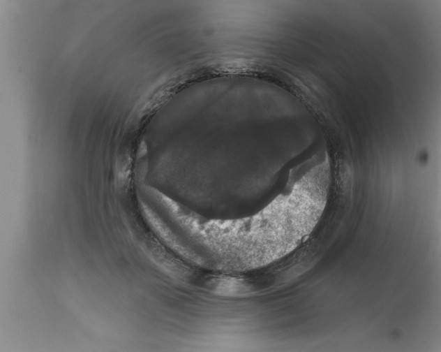 X0000111160507200907211230