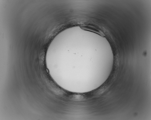 X0000111160509200907211230