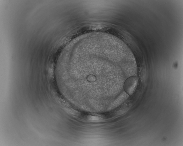 X0000111160510200907211230