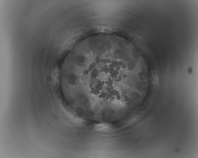 X0000111160511200907211230