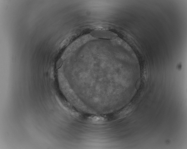 X0000111160512200907211230