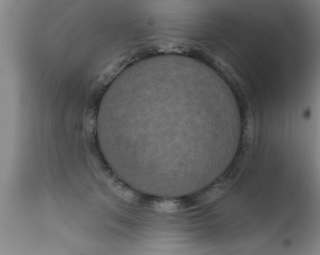 X0000111160513200907211230