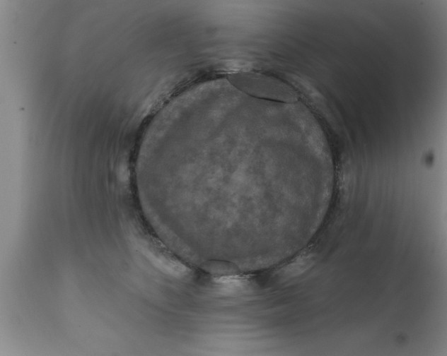 X0000111160516200907211230