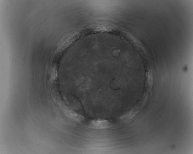 X0000111160517200907211230