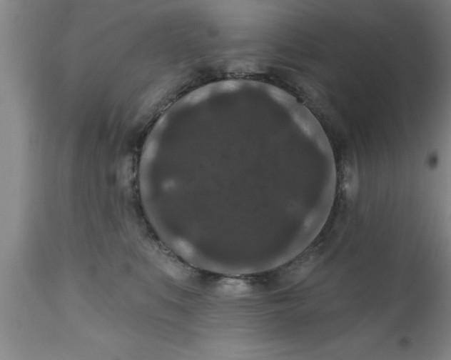 X0000111160519200907211230