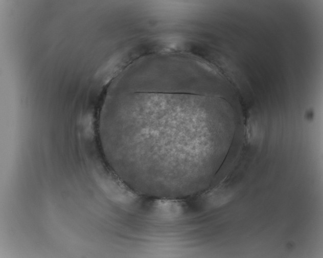 X0000111160520200907211230