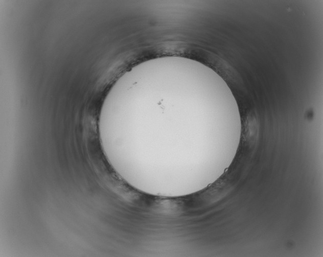 X0000111160522200907211230