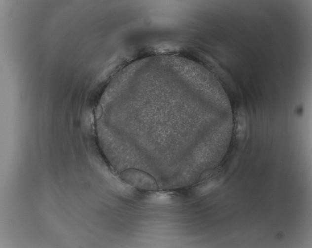 X0000111160523200907211230