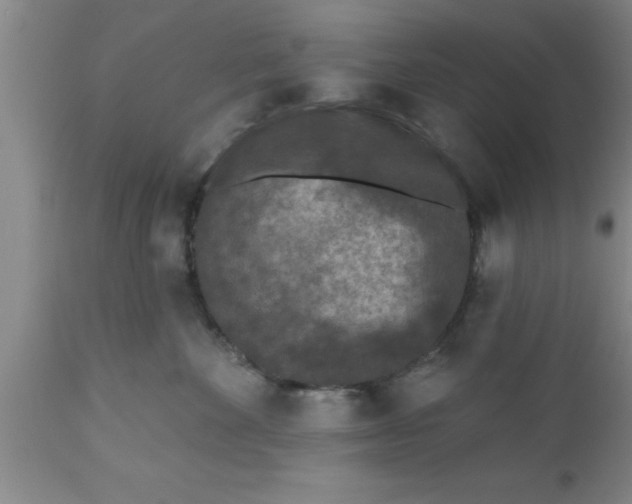 X0000111160524200907211230