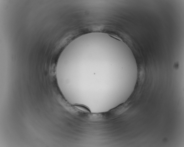 X0000111160525200907211230