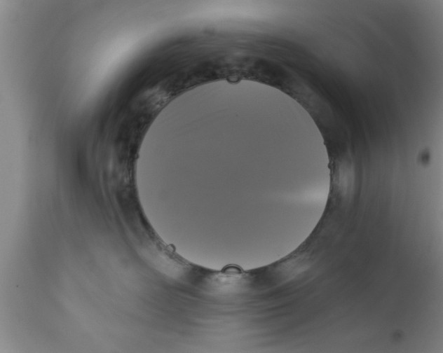 X0000111160526200907211230