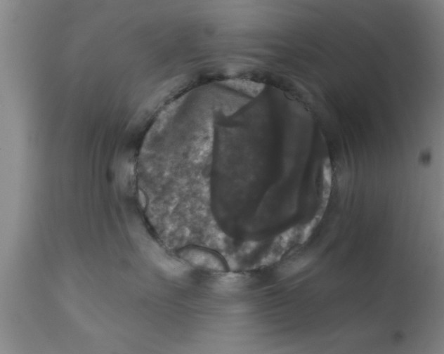 X0000111160527200907211230