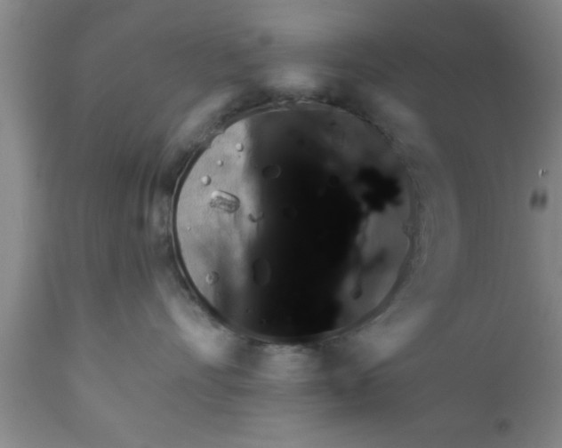 X0000111160528200907211230